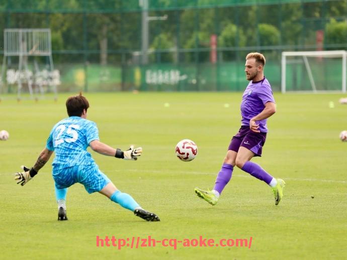 澳客足彩-齿轮轰鸣与宿命交锋 德甲球队的逆袭与崛起之路