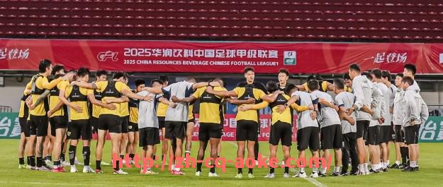 澳客足彩-拥有美国老板的意甲球队名单及其运营模式